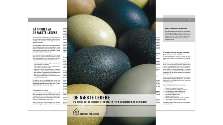 De næste ledere