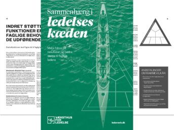 publikation: sammenhæng i ledelseskæden